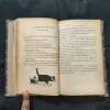 Document_32