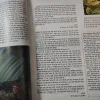 Document_38