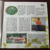 Document_41