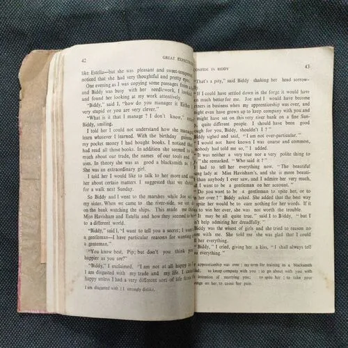 Great Expectation ( Charles Dickens ) .