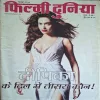 Filmy Duniya ( December 2014 )