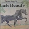 Black Beauty