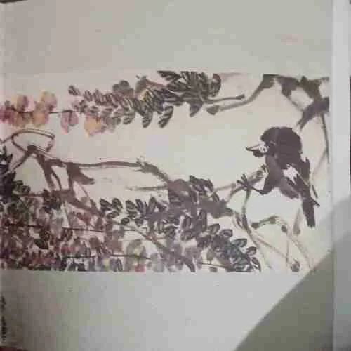Document_47