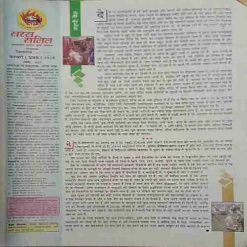 Document_50