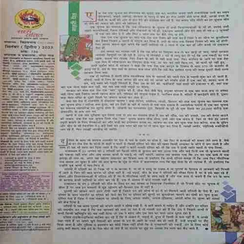 Document_50