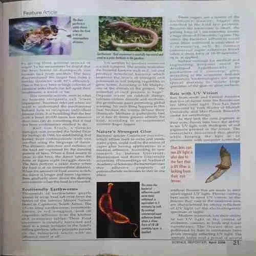 Document_51