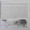 Document_54