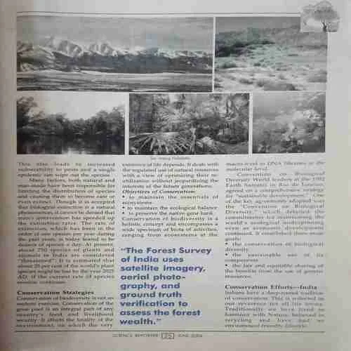 Document_55