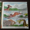 Document_56