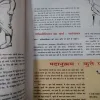 Document_74