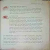 Document_75