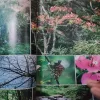 Document_86