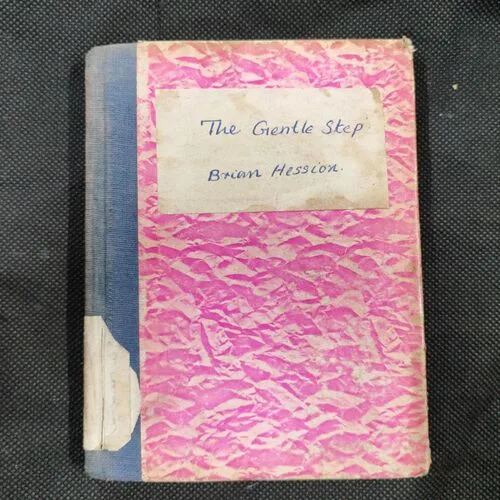 The Gentle Step ( Brian Hession ) .
