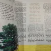 Osho World . Edition :- ( August – 2004 ).