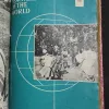Document 11_8