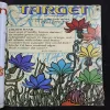 Document 17_4