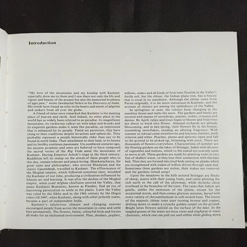 Document 19_2