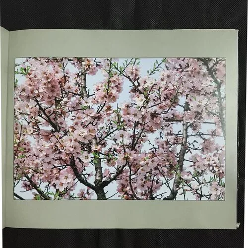 Document 19_3
