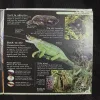 Document 19_41
