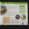 Document 20_6