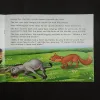 Document 20_9