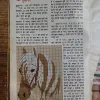 Document 23_74