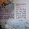 Document 2_15