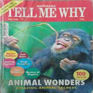 Tell me why ( October 2015 )