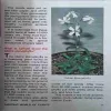 Document 2_3