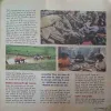 Document 2_59