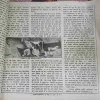 Document 2_83