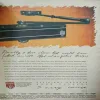 Document 2_98