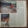 Document 3_131