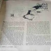 Document 3_80