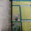 Document 4_113