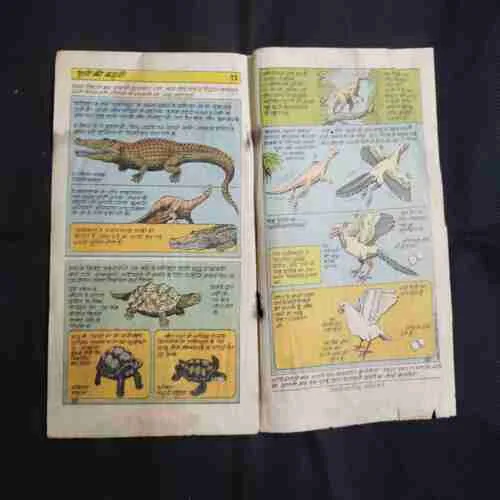 Document 4_37