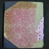 Document 5_18