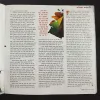 Document 7_110