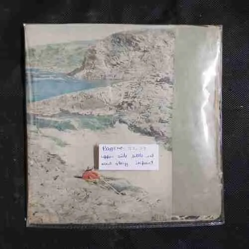Document 7_16