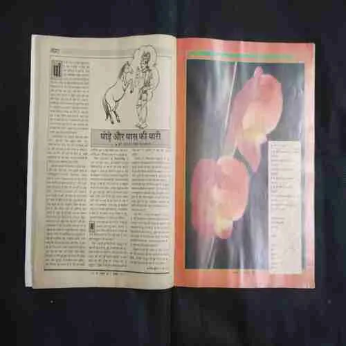 Document 7_43