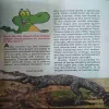 Document_11