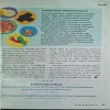 Document_115