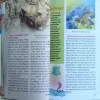 Document_125