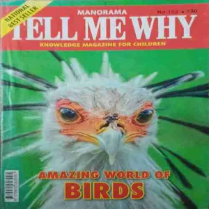Tell me why ( May 2019 )
