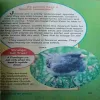 Document_15