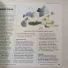 Document_17