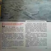 Document_19