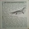 Document_2