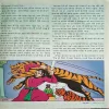 Document_243