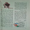 Document_27